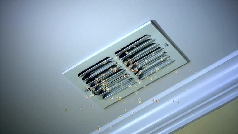 Best Professional Duct Cleaning Services  in Arcola, IL
