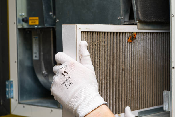 Best Local Air Duct Cleaning Services  in Arcola, IL